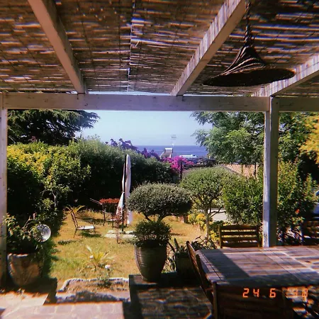 Villa Diletta A Mare *
